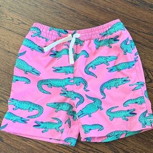 Chubbies Kids Swim Shorts
